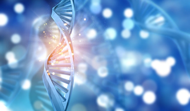 Our People and Their History: The benefits of testing Y DNA