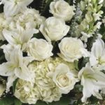 Obituary Picture for Page Valley News