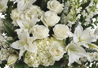 Obituary Picture for Page Valley News