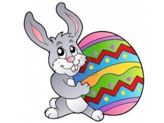 Operation Spot a Bunny