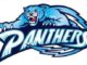 Page County High School panther logo