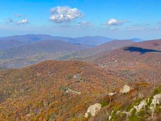 Fall in the Valley #5