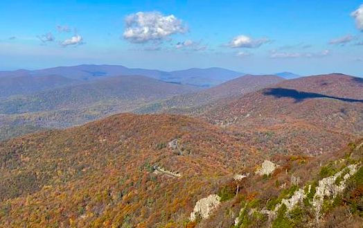 Fall in the Valley #5