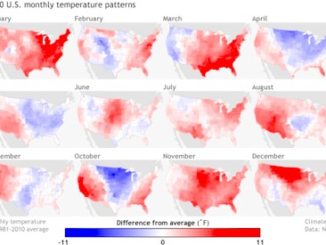 2020 Monthly Temps map