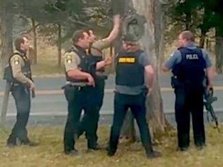 Stanley shooting-search