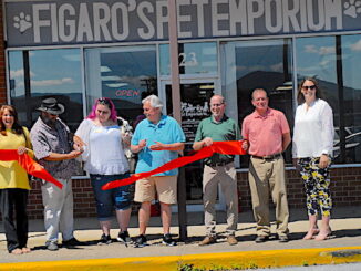 Figaor's Pet Emporium