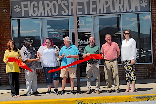 Figaor's Pet Emporium