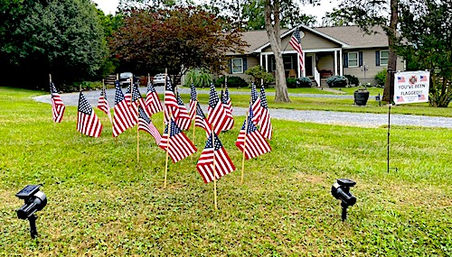 VFW flags