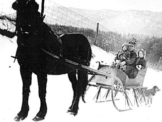 Horse drawn sleigh