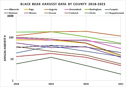 Black Bear harvest data 2018_21