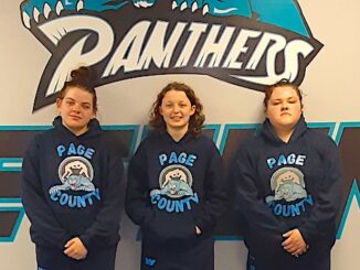 PCHS girls wrestling - state