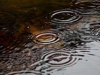 raindrops on water