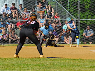 Page County High School softball