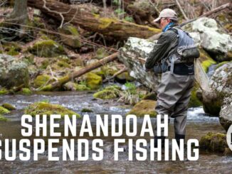 Shenandoah National Park Suspends Fishing due to drought