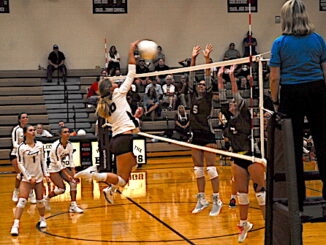LHS volleyball_Gracie Embrey