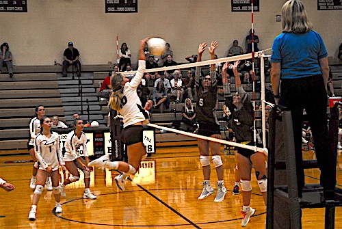 LHS volleyball_Gracie Embrey