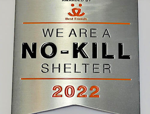 CO_Animal Shleter_NoKillaward