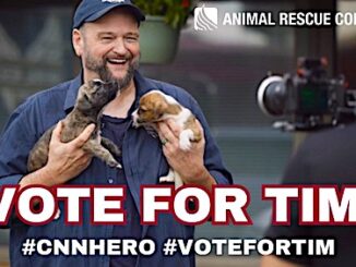 ARC_VoteForTim_CNN2025