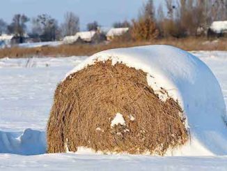 HayBale_Snow